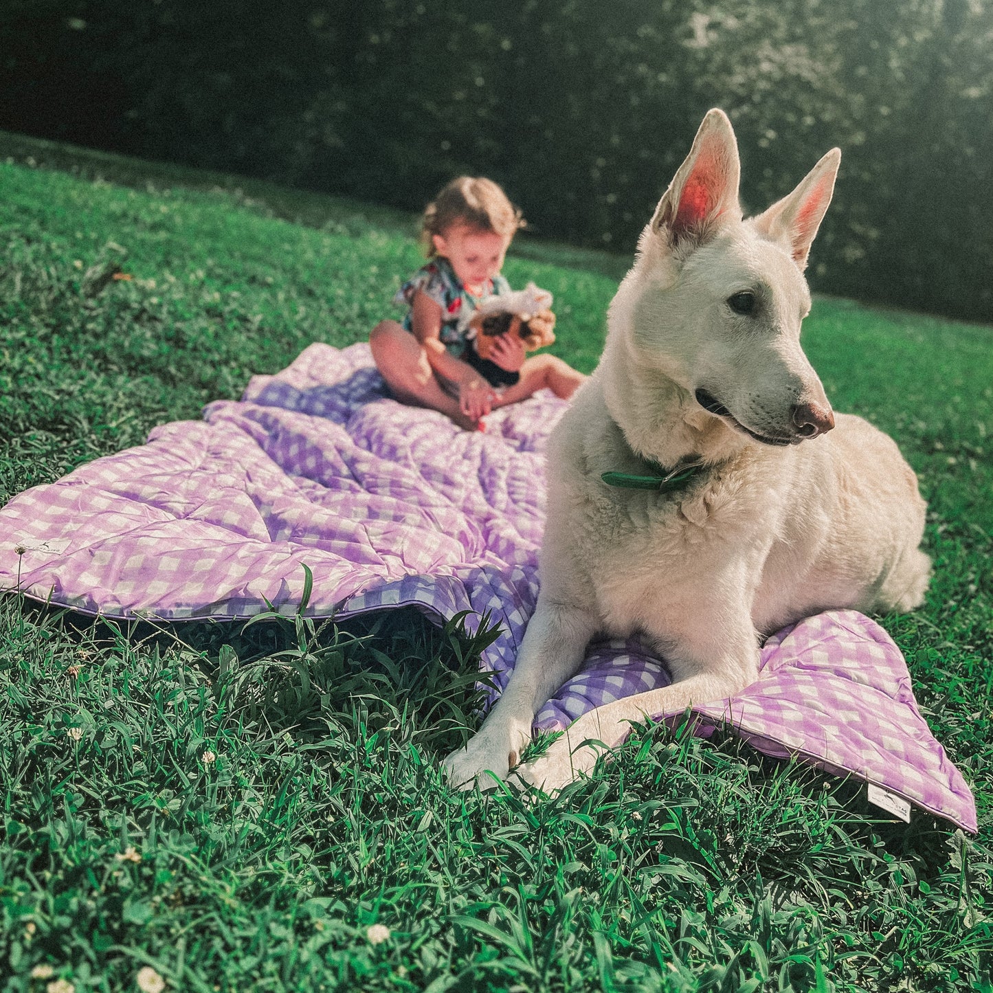 Lilac Check - Indoor/Outdoor Puffy Blanket